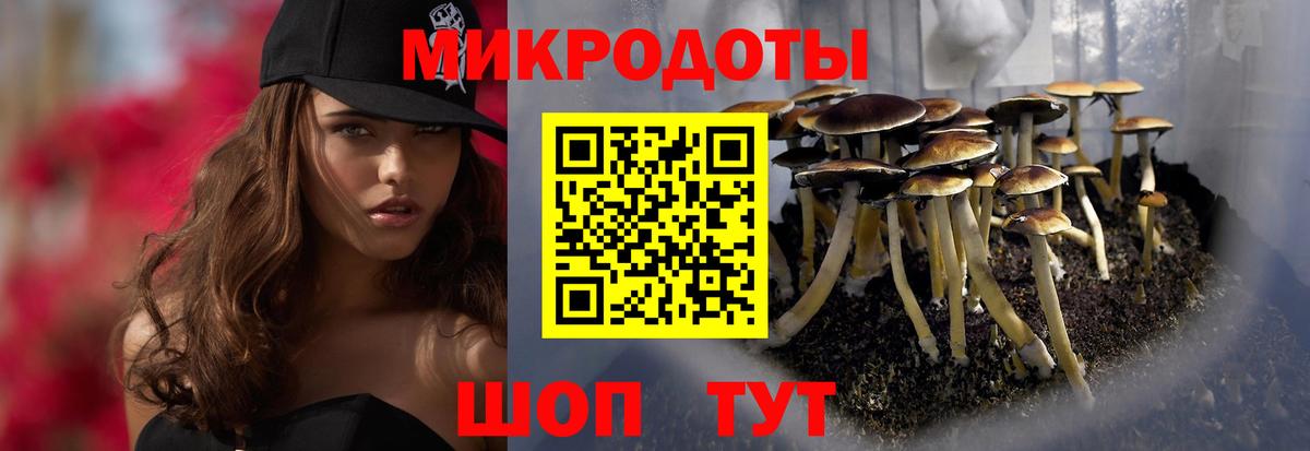 Верхняя Пышма  наркотики  Вход с VPN  Галлюциногенные грибы Cubensis 